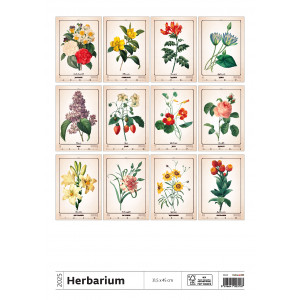 Fotografie k reklamnímu předmětu „Herbarium 2025 - Nástěnný kalendář“