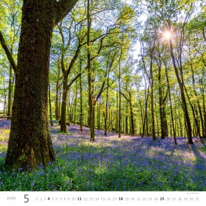 Fotografie k reklamnímu předmětu „Forest 2025- Nástěnný kalendář“