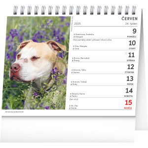 Fotografie k reklamnímu předmětu „Psi – se jmény psů  a termíny mezinárodních výstav 2025 - Stolní kalendář“