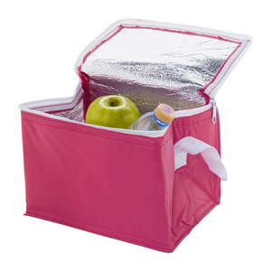 Fotografie k reklamnímu předmětu „Ortit chladící taška“