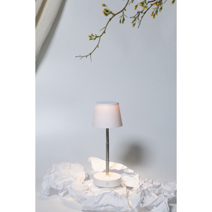 Fotografie k reklamnímu předmětu „Cosmopolitan Stolní lampa RABS“