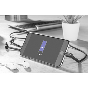 Fotografie k reklamnímu předmětu „Kabel USB 6 v 1 RICO“