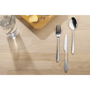 Fotografie k reklamnímu předmětu „Sada příborů ZUNA“