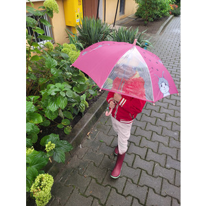 Fotografie k reklamnímu předmětu „Dětský deštník MIAU“