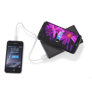 Fotografie k reklamnímu předmětu „Power banka DOUBLE 8000 mAh“