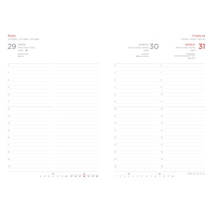 Fotografie k reklamnímu předmětu „Diář Ziggy A5 denní 2027 béžový“
