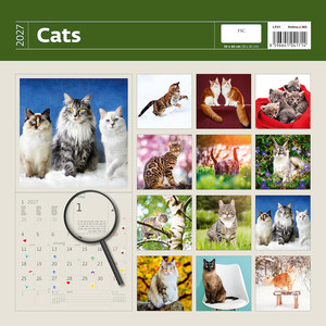 Fotografie k reklamnímu předmětu „Kalendář Cats“