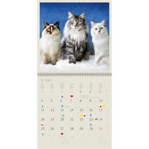 Fotografie k reklamnímu předmětu „Kalendář Cats“