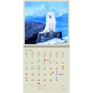 Fotografie k reklamnímu předmětu „Kalendář Dogs“