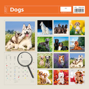 Fotografie k reklamnímu předmětu „Kalendář Dogs“