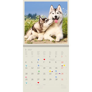 Fotografie k reklamnímu předmětu „Kalendář Dogs“