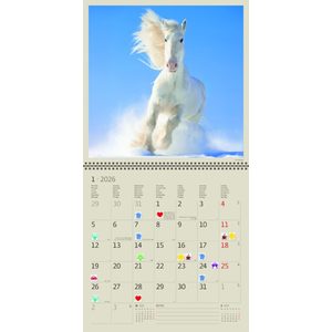 Fotografie k reklamnímu předmětu „Kalendář Horses“