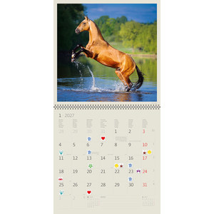 Fotografie k reklamnímu předmětu „Kalendář Horses“