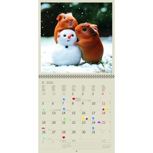 Fotografie k reklamnímu předmětu „Kalendář Little Fun“