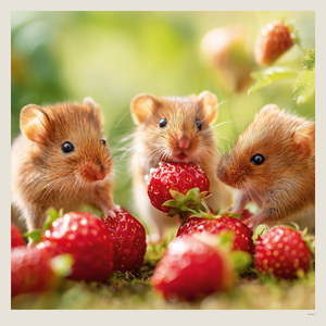 Fotografie k reklamnímu předmětu „Kalendář Little Fun“