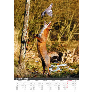 Fotografie k reklamnímu předmětu „Myslivecký kalendář“