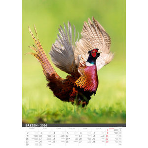 Fotografie k reklamnímu předmětu „Myslivecký kalendář“