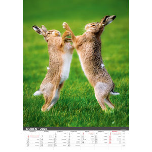 Fotografie k reklamnímu předmětu „Myslivecký kalendář“