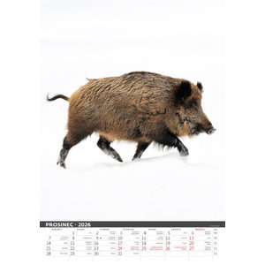 Fotografie k reklamnímu předmětu „Myslivecký kalendář“