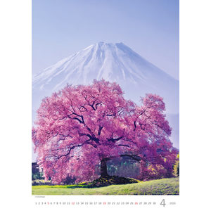 Fotografie k reklamnímu předmětu „Kalendář Stromy“