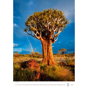 Fotografie k reklamnímu předmětu „Kalendář Stromy“