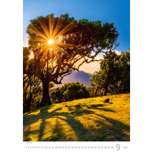 Fotografie k reklamnímu předmětu „Kalendář Stromy“