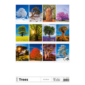 Fotografie k reklamnímu předmětu „Kalendář Stromy“