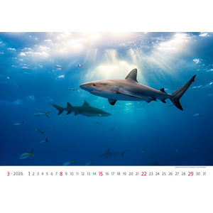 Fotografie k reklamnímu předmětu „Kalendář Deep Blue“