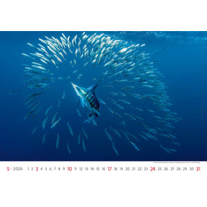 Fotografie k reklamnímu předmětu „Kalendář Deep Blue“