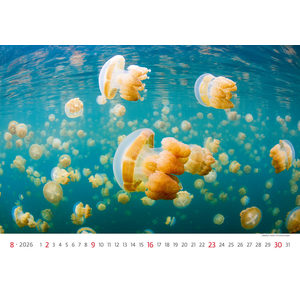Fotografie k reklamnímu předmětu „Kalendář Deep Blue“