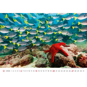 Fotografie k reklamnímu předmětu „Kalendář Deep Blue“