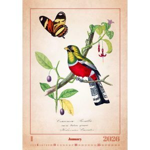 Fotografie k reklamnímu předmětu „Kalendář Aviarium“