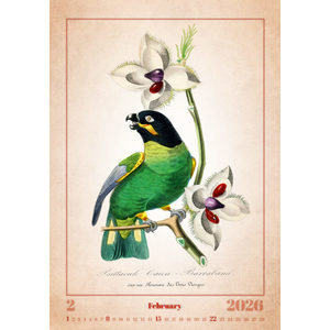 Fotografie k reklamnímu předmětu „Kalendář Aviarium“