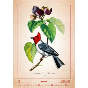 Fotografie k reklamnímu předmětu „Kalendář Aviarium“