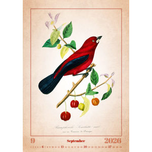 Fotografie k reklamnímu předmětu „Kalendář Aviarium“