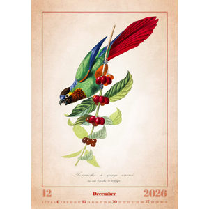 Fotografie k reklamnímu předmětu „Kalendář Aviarium“