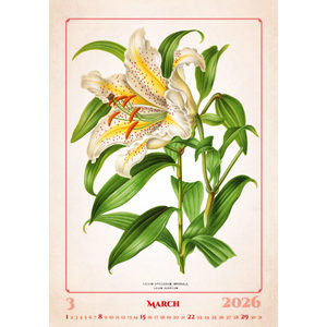 Fotografie k reklamnímu předmětu „Kalendář Herbarium“