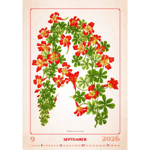 Fotografie k reklamnímu předmětu „Kalendář Herbarium“