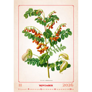 Fotografie k reklamnímu předmětu „Kalendář Herbarium“