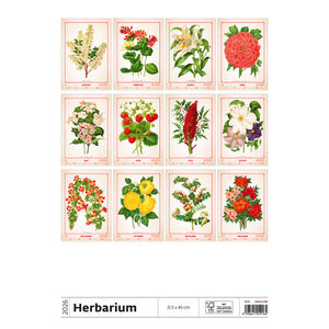 Fotografie k reklamnímu předmětu „Kalendář Herbarium“