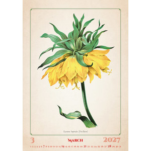 Fotografie k reklamnímu předmětu „Kalendář Herbarium“
