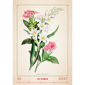 Fotografie k reklamnímu předmětu „Kalendář Herbarium“