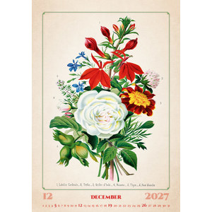 Fotografie k reklamnímu předmětu „Kalendář Herbarium“
