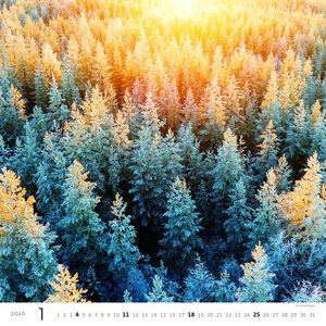 Fotografie k reklamnímu předmětu „Kalendář Les“