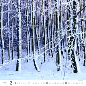 Fotografie k reklamnímu předmětu „Kalendář Les“