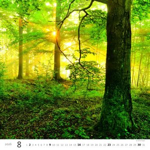 Fotografie k reklamnímu předmětu „Kalendář Les“