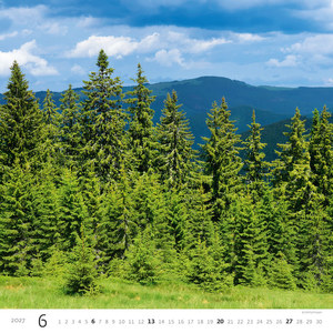Fotografie k reklamnímu předmětu „Kalendář Les“