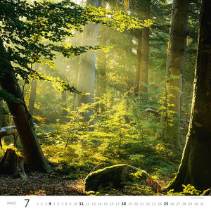Fotografie k reklamnímu předmětu „Kalendář Les“