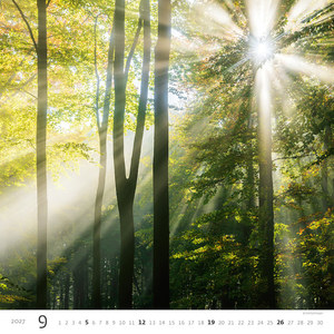 Fotografie k reklamnímu předmětu „Kalendář Les“