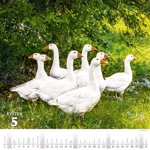 Fotografie k reklamnímu předmětu „Kalendář Krásy venkova“